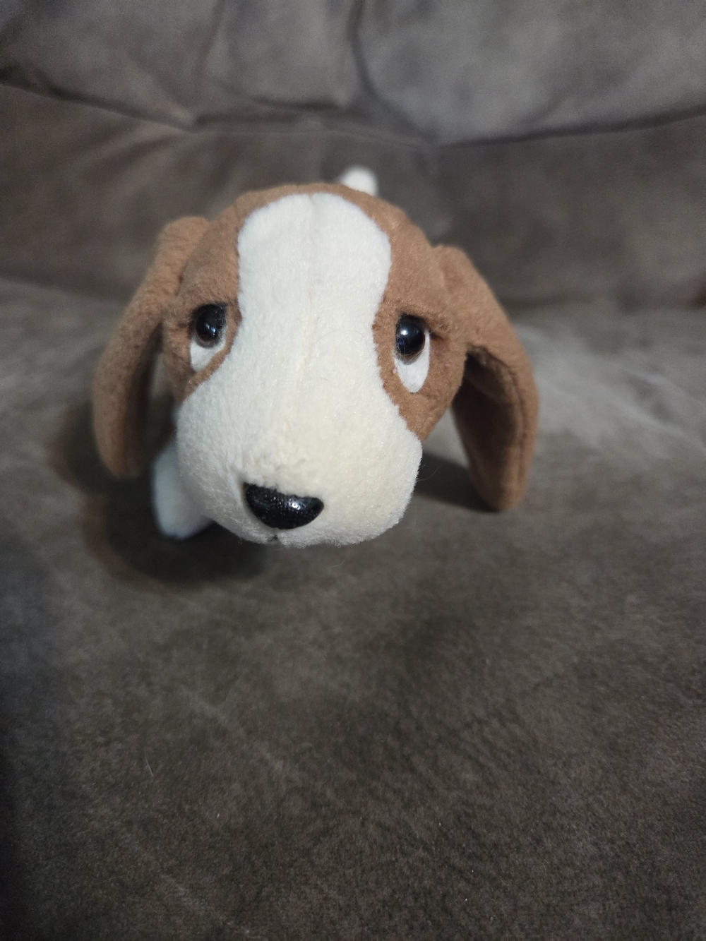 TY Tracker the Basset Hound Dog | The Beanie Babies Collection | Retired | 1997